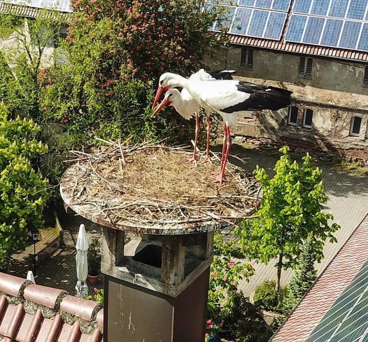 Landgasthof zum Adler